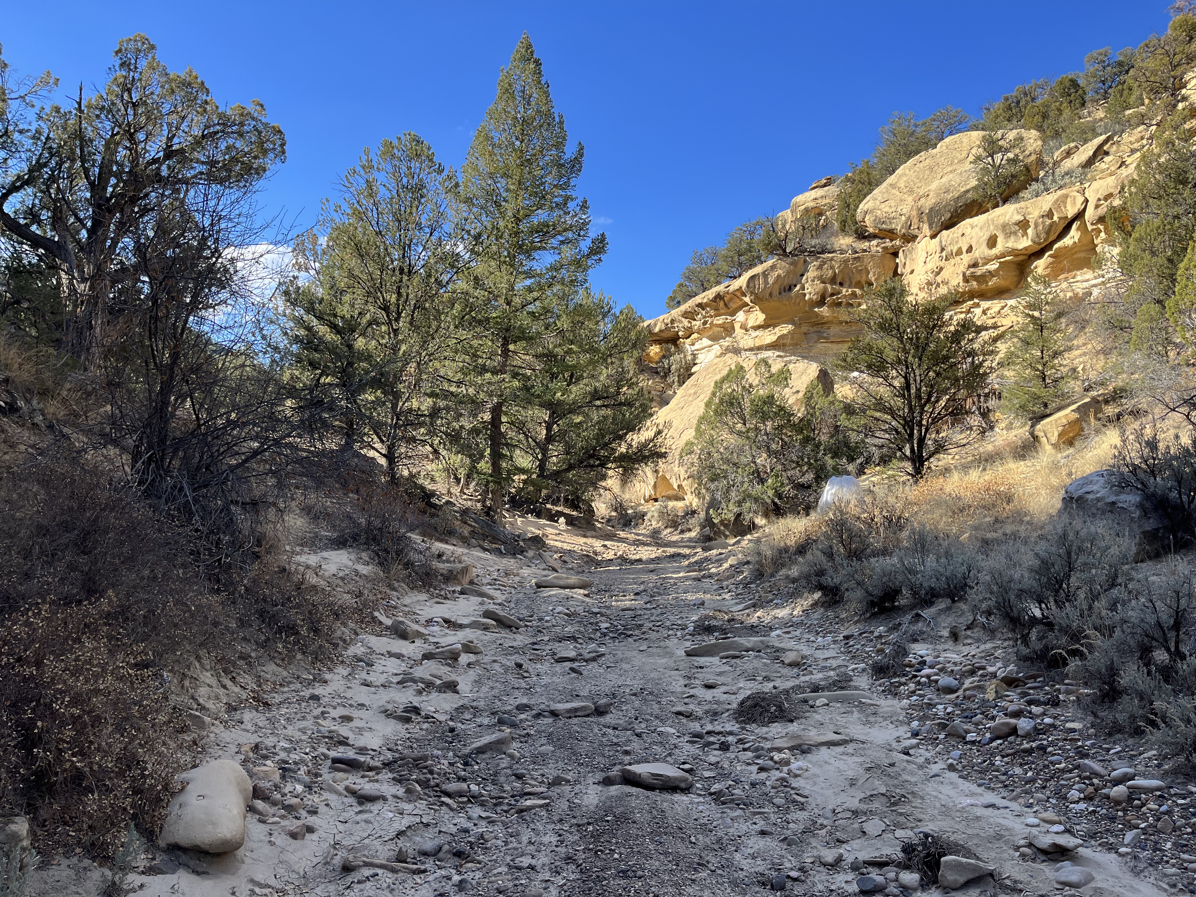Escalante National Monument Site Visit