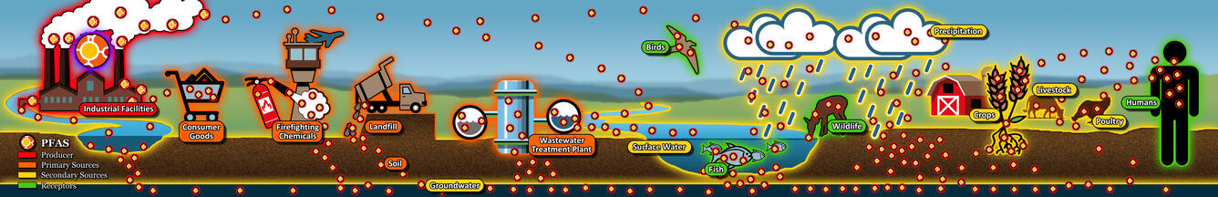 PFAS Fate Transportaion Diagram