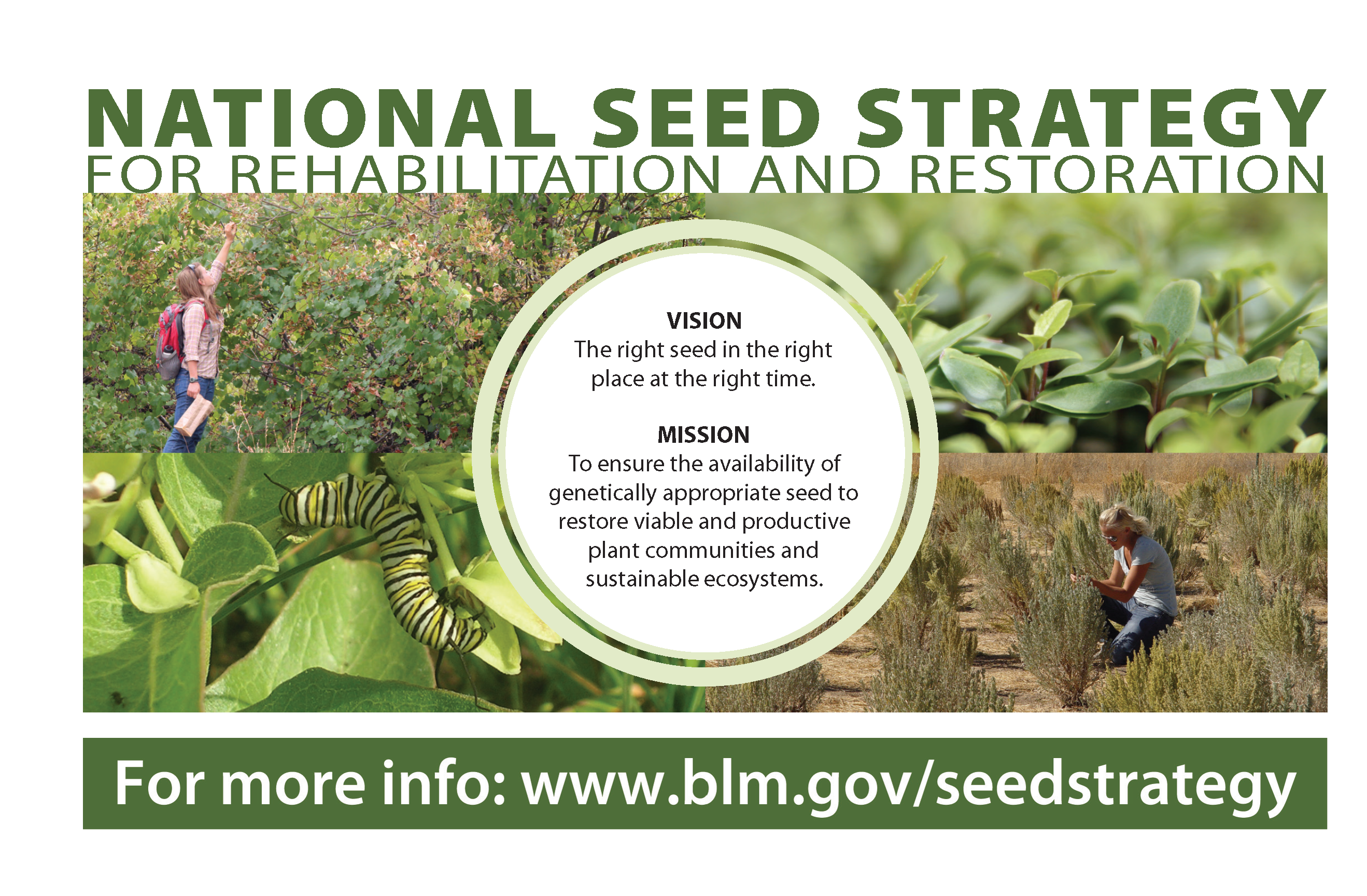 National Seed Strategy for Rehabilitation and Restoration: Vision - The right seed in the right place at the right time. Mission - To ensure the availability of genetically appropriate seed to restore viable and productive plant communities and sustainable ecosystems. For more info: www.blm.gov/seedstrategy