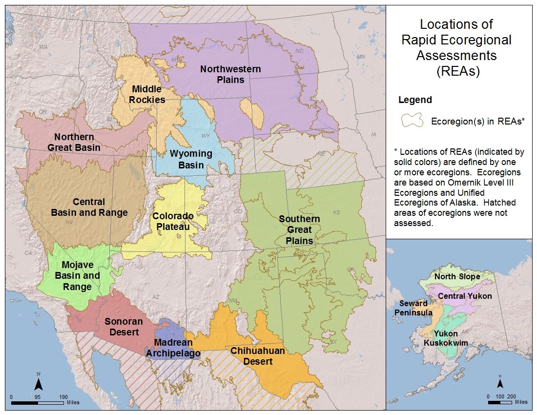 REA Map
