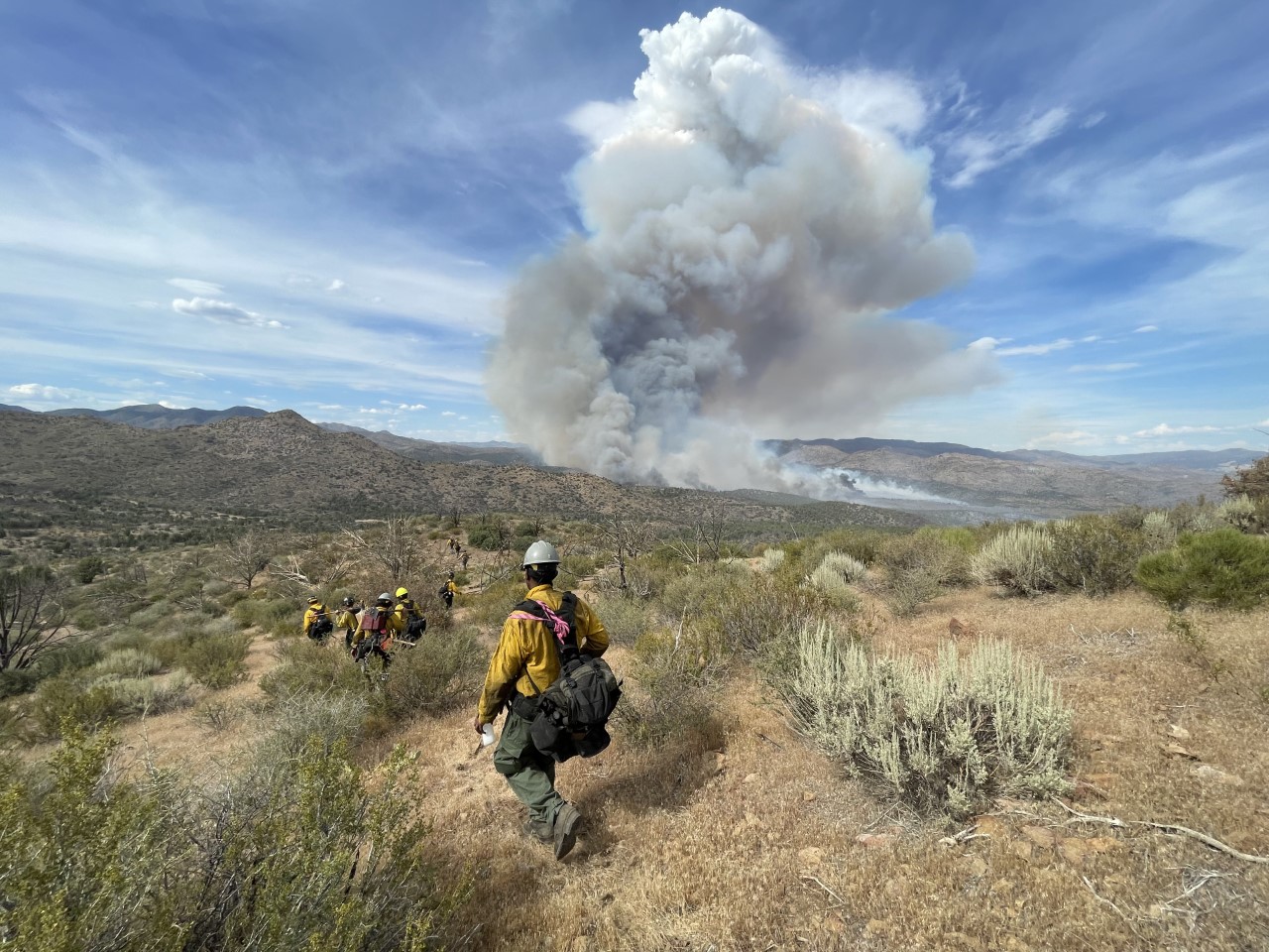 Wildland firefighters construct fireline on the 2022 Dodge Springs Fire in Ely, Nevada. Photo by Alyssa Engdahl, BLM