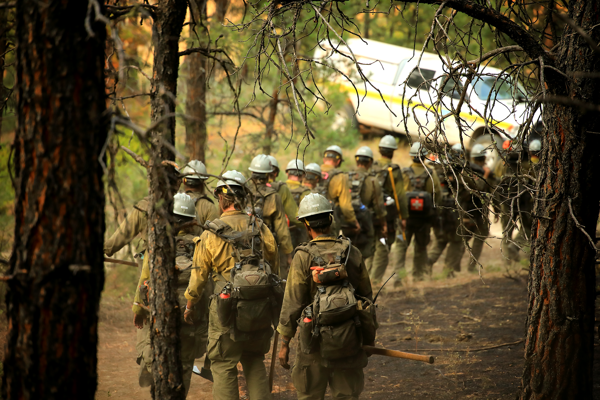 A line of wildland firefighters walks through a scorched forest. Photo by Austin Catlin, BLM.