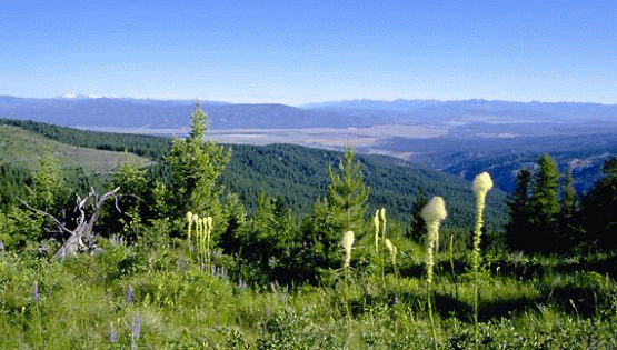 Blackfoot River Valley, Montana | Photo: BLM/Montana