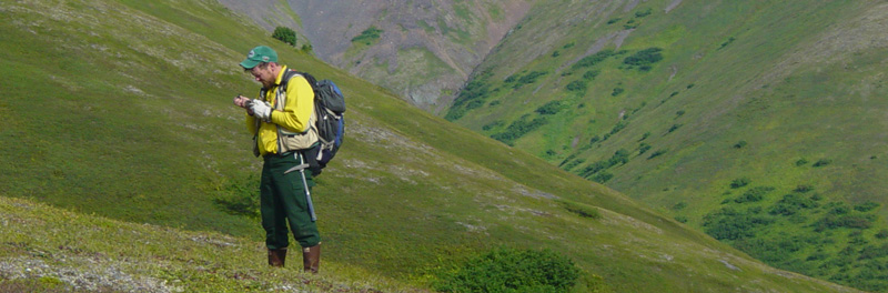 A researcher venturing in alpine tundra | Photo: BLM Alaska