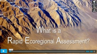 What is a Rapid Ecoregional Assessment?