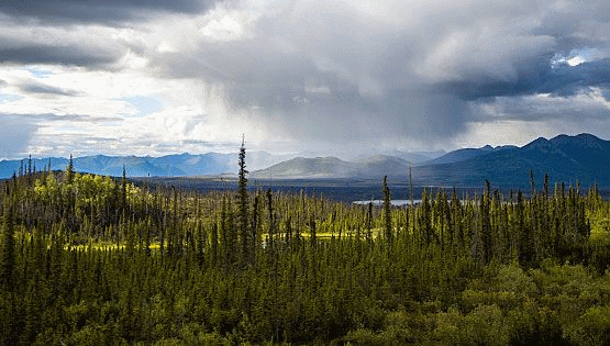 Rainstorm in Brooks Range, Alaska | Photo: BLM/Alaska, Craig McCaa