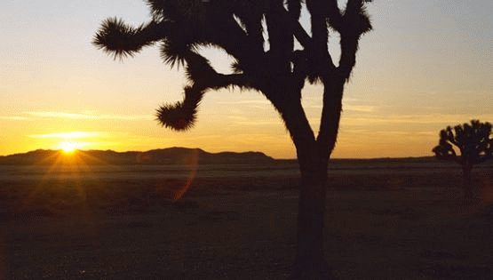 Sunset in the Mojave Basin and Range, California | Photo: BLM/California