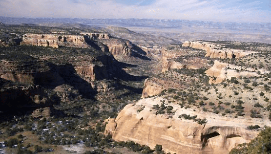 Rattlesnake Canyon, Colorado | Photo: BLM/Colorado