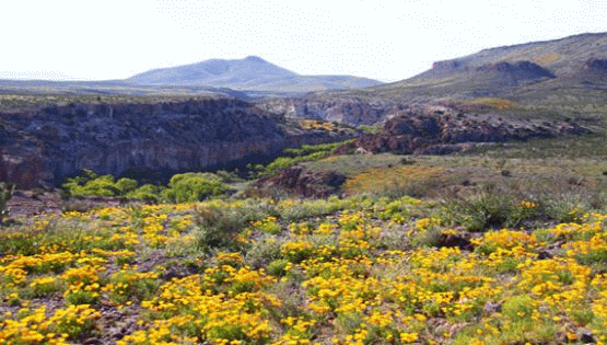 Lower Gila, New Mexico | Photo: BLM/NM, Mike Howard