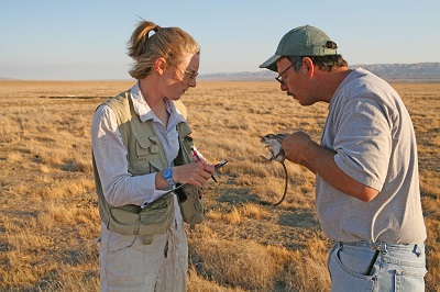 Wildlife Research