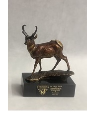 Jim Yoakum Award