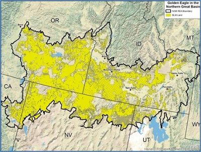 BLM land map for NGB