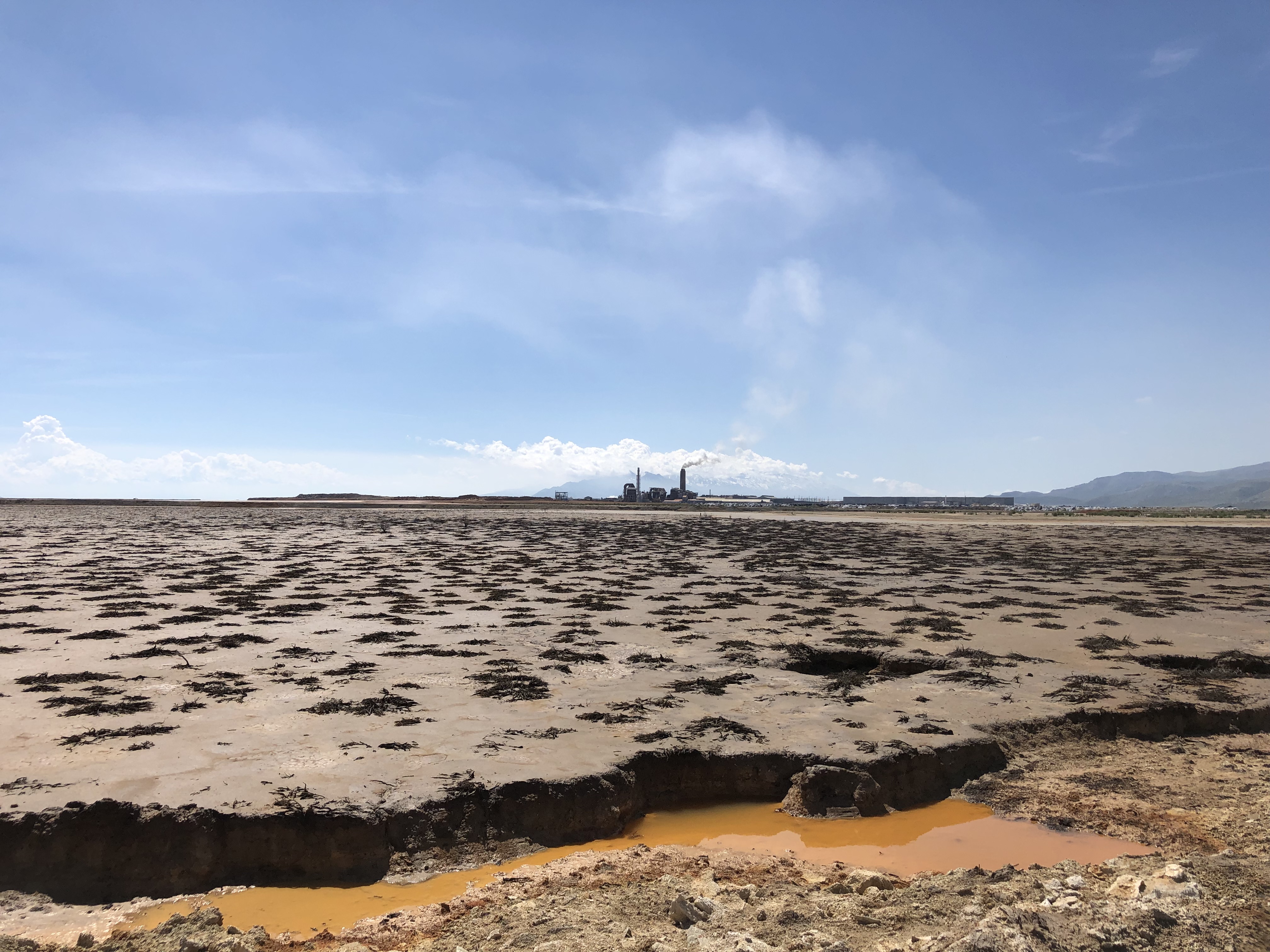 Contaminated area with Mag Plant