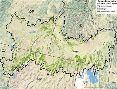 Golden Eagle habitat map derived using Maxent modelling