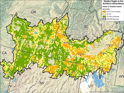 Golde Eagle potential suitable habitat map