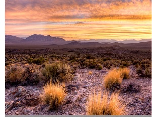 Basin and Range National Monument