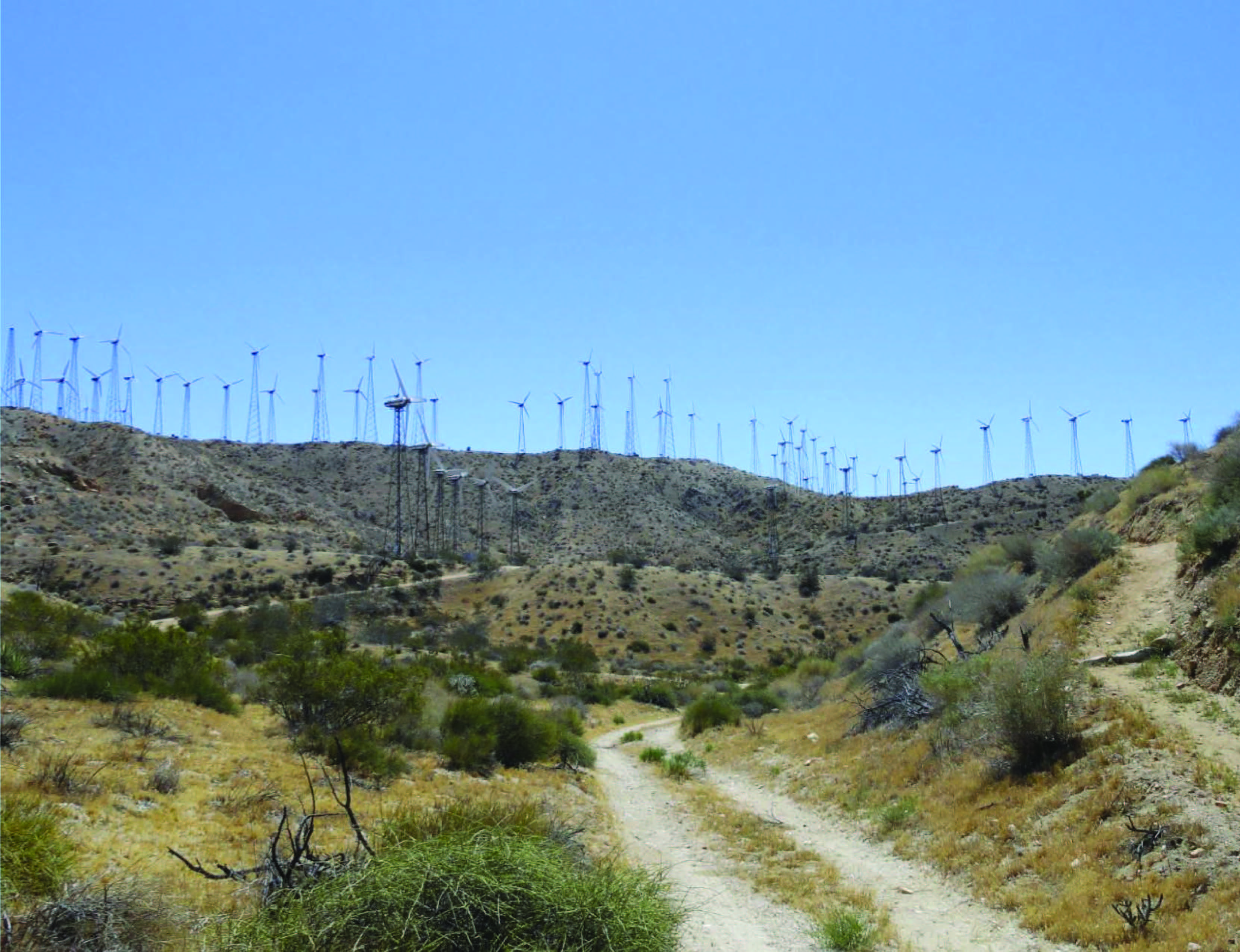 wind Solar farm