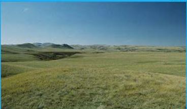 Northwest plains