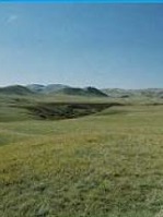 Grasslands in the Northwest Plains