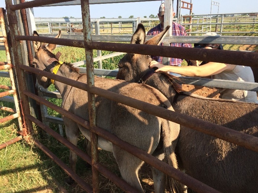 BLM-supported WHB Research