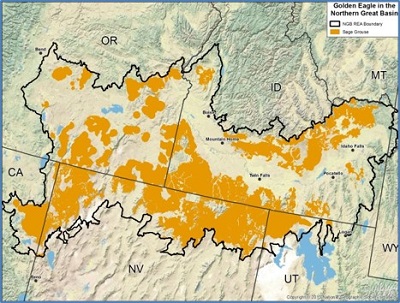 Sage grouse Preliminary Priority Habitat map for NGB