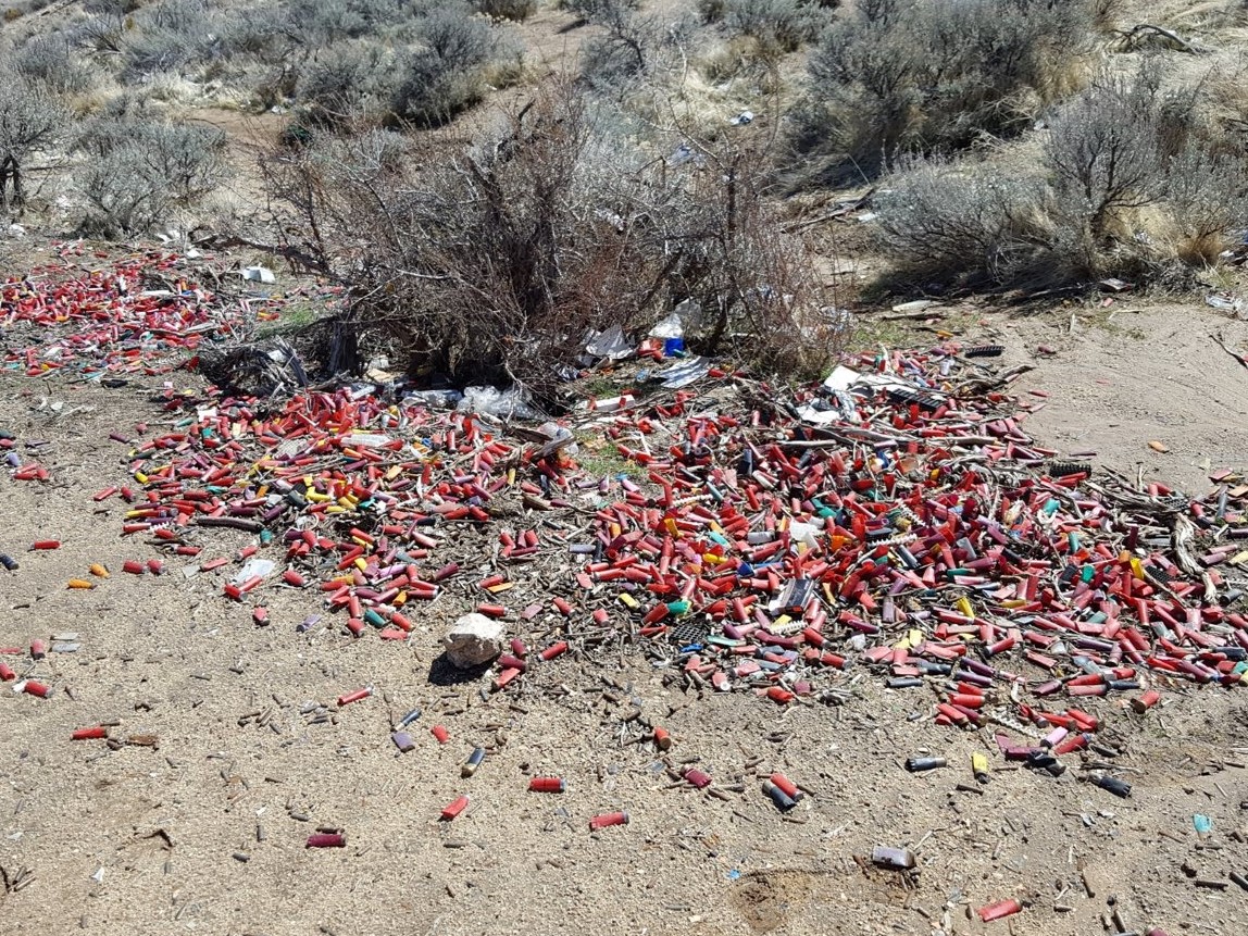 Washoe County