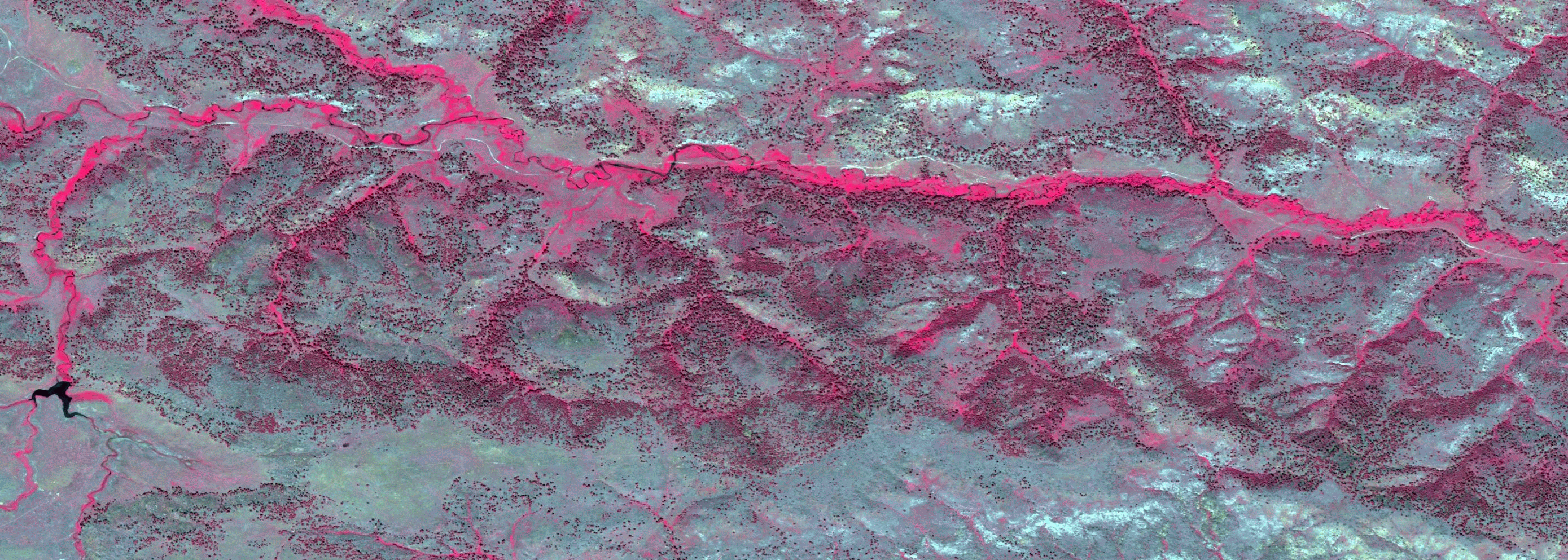 Land Sat image of Montana