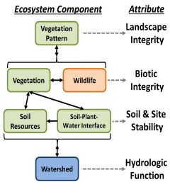 Sample of a conceptual model
