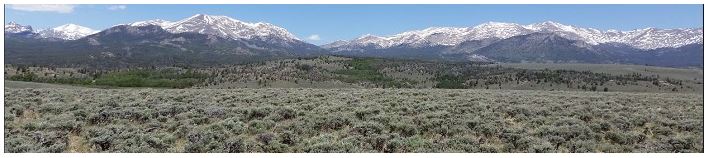 Sagebrush-steppe