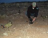 Biologist sets out Prairie Chicken decoys