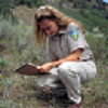 BLM employee surveys vegetation