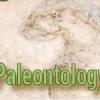 Paleontology Banner