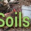 Soils Banner