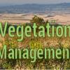 Vegetation Management Banner